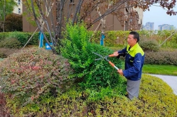 [新同诚众悦]一天24小时，物业这群人到底在干嘛？